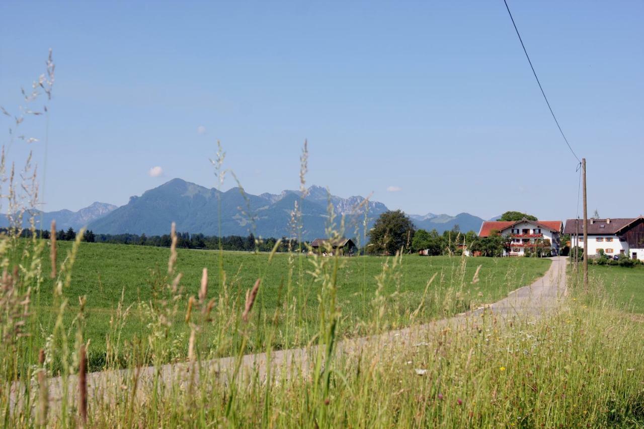 Beim Bicher Grabenstatt Luaran gambar